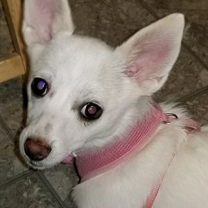 Meet your Posher, Cyndi